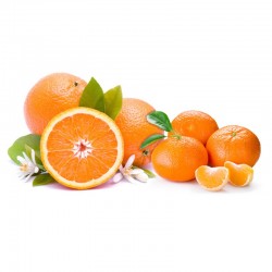 Naranjas + Mandarinas...