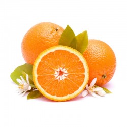 Naranjas Premium 12 Kilos
