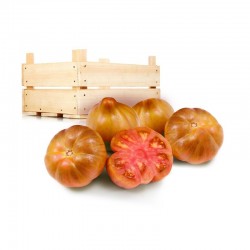 TOMATE VALENCIANO (10 Kgs)