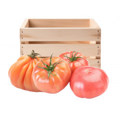 Tomate Rosa Valenciano