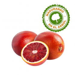 Sanguinas (12 Kilos)