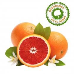 Naranja Roja Kirkwood 12 Kilos